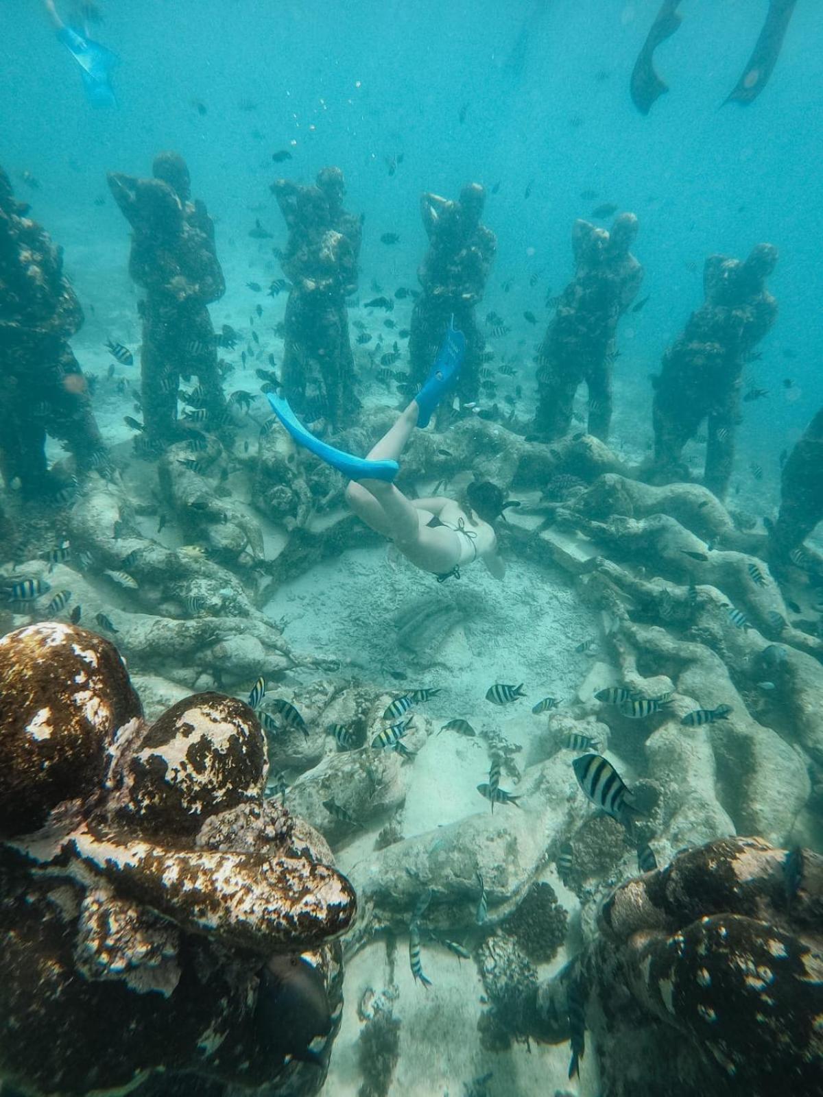 Tipsea Turtle Gili Air Hotel Luaran gambar